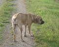 24.07.2009 - Klaus ist 40 001